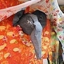 papier mache elephant